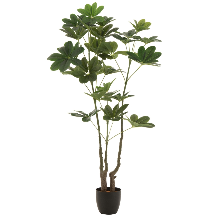 J-line Umělá květina Money Tree 157 cm