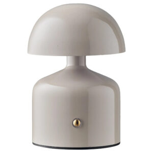 Nordic Living Šedá kovová stolní lampa Ailla 13